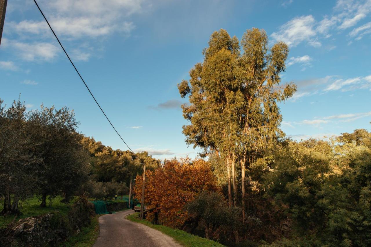 Azeite De Marvao, Olivoturismo Casa Venda Do Lagar Villa Kültér fotó